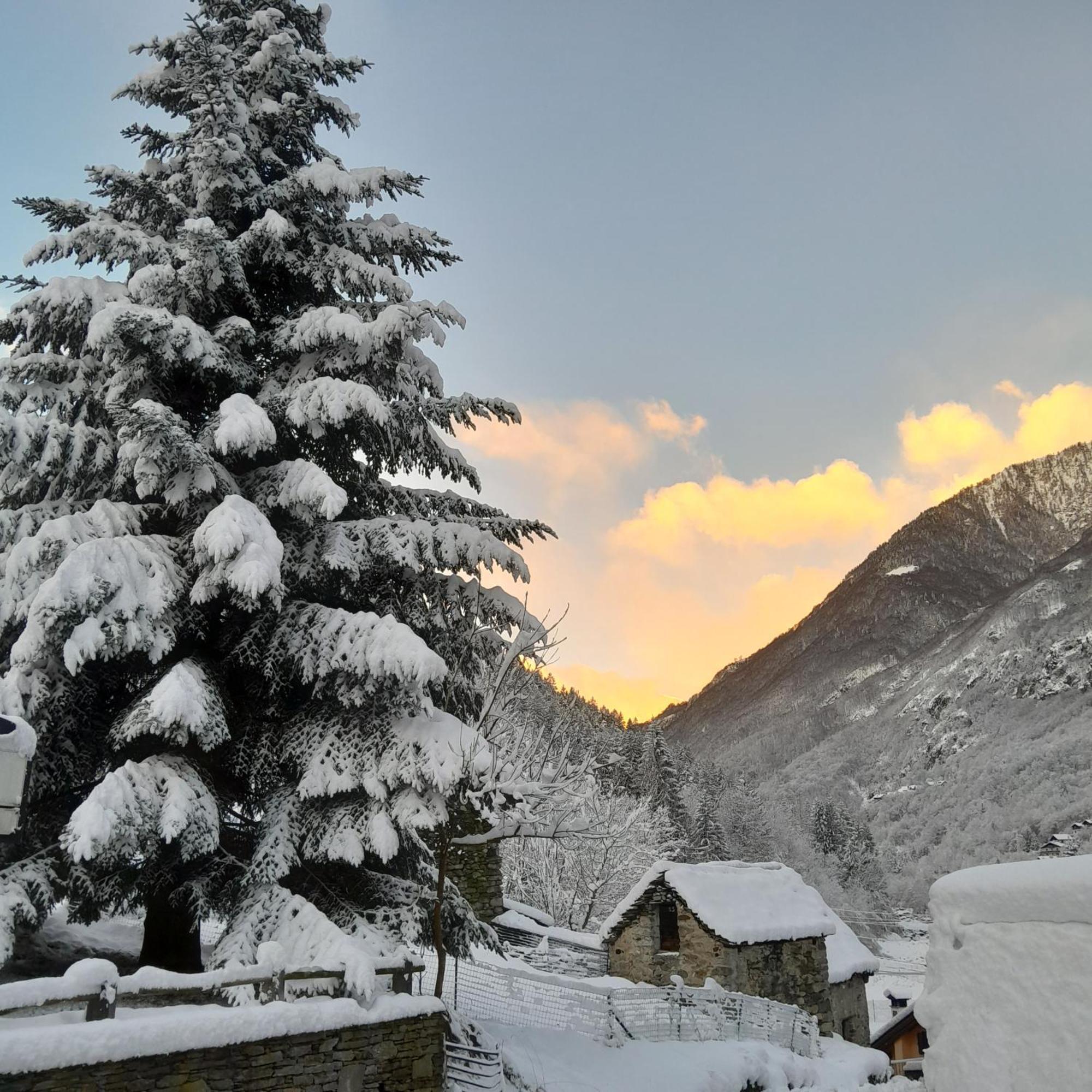 Casa All'Alpe Anzino Exteriér fotografie